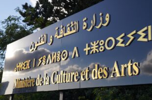 دعم الفنون