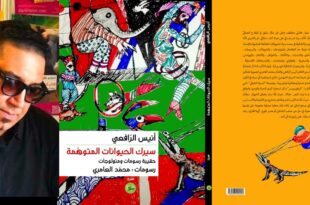 أنيس الرافعي