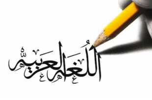 اللغة العربية والدوارج المغربية أي علاقات وأية استراتيجية؟