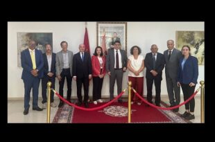 لجنة دعم تنظيم المهرجانات السينمائية