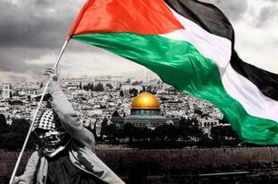 القضية الفلسطينية