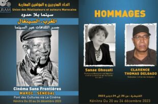 اتحاد المخرجين والمؤلفين المغاربة