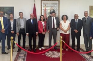 لجنة دعم تنظيم المهرجانات السينمائية